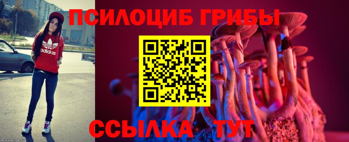Псилоцибиновые грибы Psilocybine cubensis  Галлюциногенные грибы прущие грибы  Вход с VPN  Ишим 