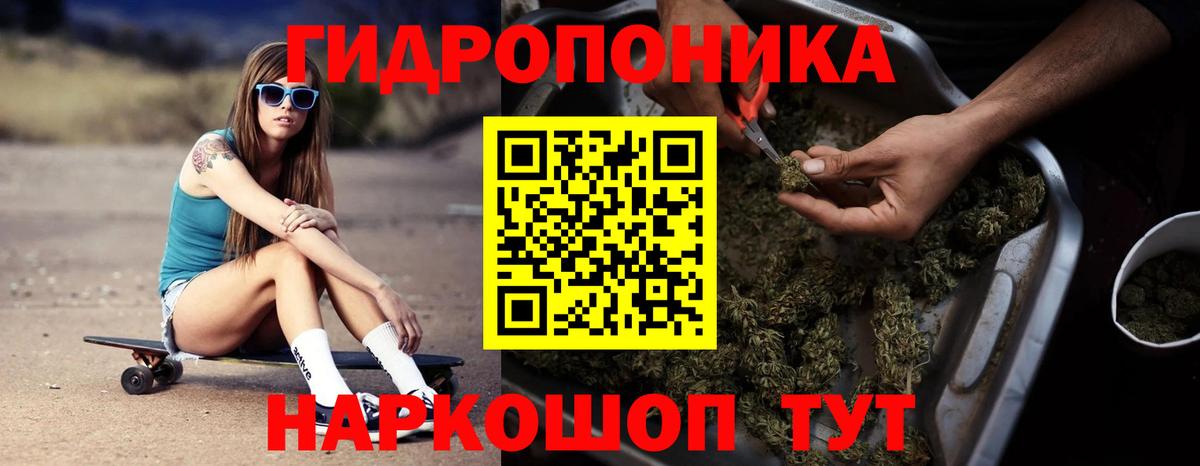 Бошки Шишки индика Ишим
